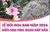 Lễ hội Hoa Ban năm 2026: Điểm hẹn mùa Xuân hấp dẫn