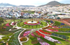 Delight Park: Thiên đường âm thanh, ánh sáng giữa lòng Đà Lạt