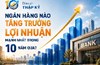 Nhiều ngân hàng ghi nhận lợi nhuận tăng hàng chục lần sau 10 năm, SeABank dẫn đầu tốc độ bứt phá
