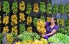 Đặc sản tiến vua nổi tiếng Ninh Bình: Vào mùa thường cháy hàng, nhiều người phải đặt trước mới mua được