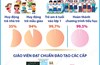 Một số chỉ tiêu về giáo dục, đào tạo trong năm học 2025-2026