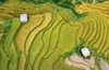 “Tòa tháp xanh” 121 tầng giữa núi Sa Pa: Công trình đặc biệt do con người tạo nên