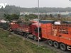 Trung Quốc thông báo tạm dừng xuất nhập khẩu qua cửa khẩu ở Lào Cai
