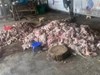 Phát hiện gần 1,5 tấn thịt lợn hôi thối chuẩn bị đưa ra tiêu thụ