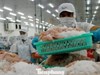 Doanh nghiệp thủy sản tạm dừng xuất khẩu sang Trung Đông vì rủi ro logistics