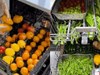 23,5 triệu người tranh cãi dữ dội về hành động của người phụ nữ dùng máy rửa bát để làm việc này