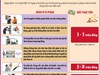 Mức phạt tiền đối với hành vi vi phạm các quy định về sử dụng điện từ 25/5/2026