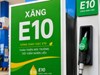 Xăng E10 có thực sự dễ tách nước khi để lâu?