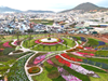 Delight Park: Thiên đường âm thanh, ánh sáng giữa lòng Đà Lạt
