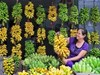 Đặc sản tiến vua nổi tiếng Ninh Bình: Vào mùa thường cháy hàng, nhiều người phải đặt trước mới mua được