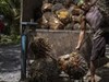 Indonesia bắt buộc dùng xăng sinh học B50, mở rộng vai trò của dầu cọ trong năng lượng