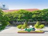SBT trở lại đà tăng trưởng, lợi nhuận vượt kỳ vọng trong niên độ 2024-2025