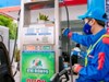Khi nào xăng E10 thay thế hoàn toàn xăng khoáng?