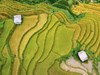 “Tòa tháp xanh” 121 tầng giữa núi Sa Pa: Công trình đặc biệt do con người tạo nên