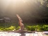 Trải nghiệm tour du lịch ngồi thiền luyện yoga ở rừng thông Lâm Đồng