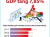 9 tháng năm 2025: GDP tăng 7,85%