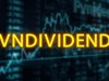 Lần đầu Việt Nam ra mắt chỉ số cổ phiếu tăng trưởng chi trả cổ tức – VNDIVIDEND