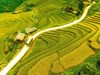Xà Phìn – ngôi làng vùng cao khoác áo rêu xanh suốt 7 tháng mỗi năm