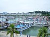 Quảng Ninh tạm ngừng cấp phép các hoạt động tham quan, lưu trú trên vịnh Hạ Long