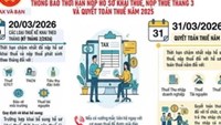 Cơ quan Thuế TP.HCM lưu ý thời hạn nộp hồ sơ khai thuế và quyết toán thuế năm