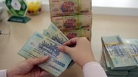 Quản lý thuế theo dòng tiền: Nên tập trung vào nhóm rủi ro thay vì kiểm tra tràn lan