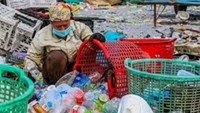 Đề xuất doanh nghiệp nộp thuế thay người bán phế liệu