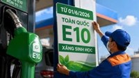 Hầu hết ô tô, xe máy tại Việt Nam đều có thể sử dụng an toàn xăng E10