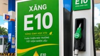 Xăng E10 có thực sự dễ tách nước khi để lâu?