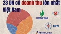Doanh nghiệp nào tạo doanh thu lớn nhất Việt Nam? 4 “ông lớn” nhà nước chiếm gần một nửa tổng quy mô