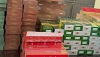 Chủ cửa hàng tạp hóa bị khởi tố vì buôn bán thuốc lá nhập lậu