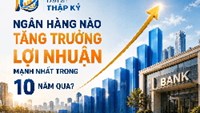 Nhiều ngân hàng ghi nhận lợi nhuận tăng hàng chục lần sau 10 năm, SeABank dẫn đầu tốc độ bứt phá