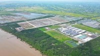 Đồng Tháp đấu giá tìm chủ đầu tư mới cho khu công nghiệp dầu khí bỏ hoang hơn 20 năm