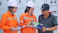 Chưa áp giá điện theo giờ cho hộ gia đình vì còn thiếu điều kiện triển khai