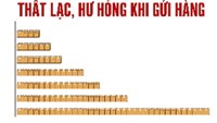 Cước vận chuyển giảm mạnh, Viettel và SPX dẫn đầu về độ an toàn đơn hàng, một hãng có tỷ lệ hư hỏng cao nhất