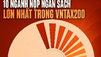 Top 200 doanh nghiệp: Ba lĩnh vực chiếm gần 47% nguồn thu