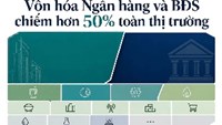 Bất động sản và ngân hàng chi phối hơn nửa thị trường