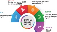 Hoàn thiện chính sách tài sản trí tuệ: “Lá chắn” bảo vệ doanh nghiệp Việt trên thị trường toàn cầu