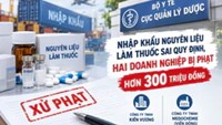Hai doanh nghiệp dược bị phạt hơn 300 triệu đồng vì nhập nguyên liệu sai quy định