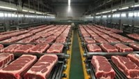 Thịt lợn nhập khẩu tăng mạnh, giá bình quân chỉ hơn 45.000 đồng/kg