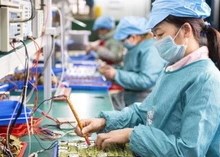 Làn sóng khởi nghiệp tăng tốc cuối năm 2025 với hơn 17.000 doanh nghiệp mới