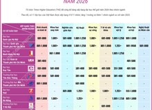 11 đại học Việt Nam vào bảng xếp hạng thế giới theo nhóm ngành