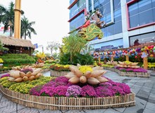 Khai mạc đường hoa Vũ Khúc Xuân Bính Ngọ 2026: Không gian xuân kết nối di sản và cộng đồng