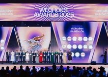 Khởi đầu năm Bính Ngọ với chuẩn mực mới, doanh nghiệp Việt củng cố nội lực để chinh phục thị trường toàn cầu