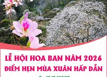 Lễ hội Hoa Ban năm 2026: Điểm hẹn mùa Xuân hấp dẫn