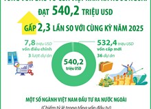 2 tháng năm 2026: Đầu tư của Việt Nam ra nước ngoài gấp 2,3 lần so với cùng kỳ năm 2025