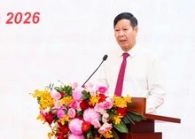 Việt Nam tiến gần bước ngoặt công nghiệp ô tô: Tỷ lệ nội địa hóa tăng mạnh, dần bắt kịp các nước dẫn đầu khu vực