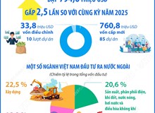 5 tháng năm 2026: Đầu tư của Việt Nam ra nước ngoài đạt 794,6 triệu USD gấp 2,5 lần so với cùng kỳ năm 2025