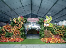 KHAI MẠC LỄ HỘI HƯƠNG SẮC TRÁI CÂY 2026 VỚI QUY MÔ TẦM CỠ KHU VỰC PHÍA BẮC THÀNH PHỐ HỒ CHÍ MINH 