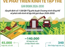 Một số mục tiêu đến năm 2030 của Chương trình tổng thể về phát triển kinh tế tập thể giai đoạn 2026-2030
