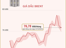 Giá dầu thế giới tiếp tục giảm